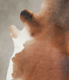 Brown with Red Cowhide Rug #A25600