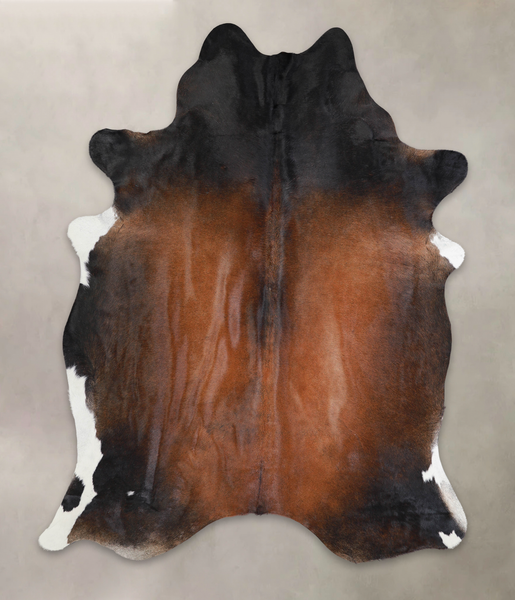 Brown with Red Cowhide Rug #A25601