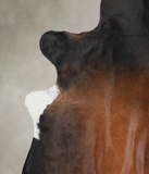 Brown with Red Cowhide Rug #A25601