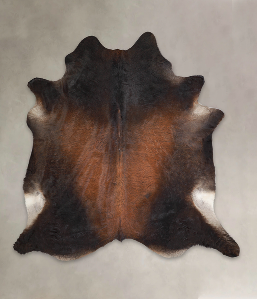 Brown with Red Cowhide Rug #A25603