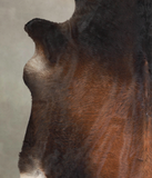 Brown with Red Cowhide Rug #A25603
