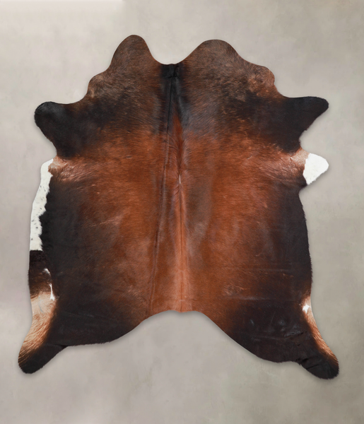 Brown with Red Cowhide Rug #A25630