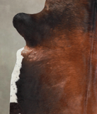 Brown with Red Cowhide Rug #A25630