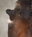 Brown with Red Cowhide Rug #A25633