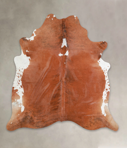 Brown and White Regular Cowhide Rug #A25637