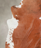 Brown and White Regular Cowhide Rug #A25637