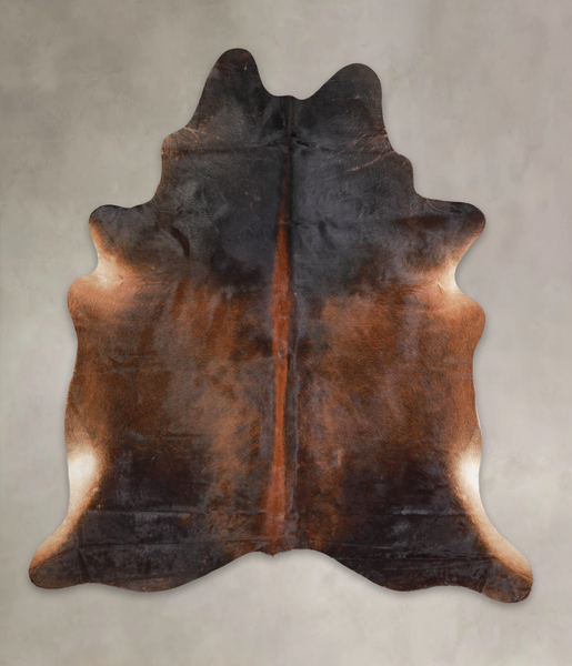 Brown with Red Cowhide Rug #A25639
