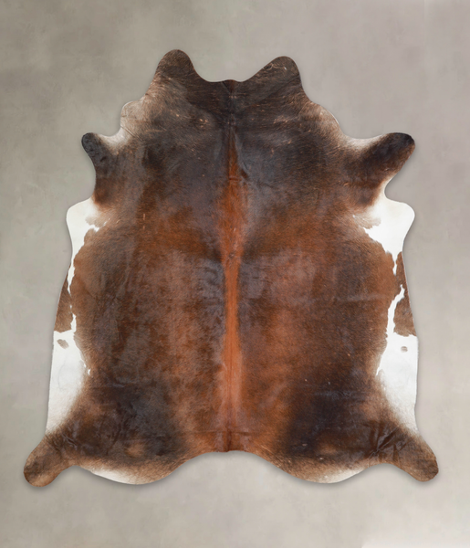 Brown with Red Cowhide Rug #A25646
