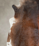 Brown with Red Cowhide Rug #A25646
