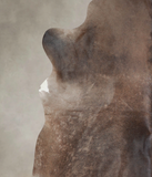 Chocolate Cowhide Rug #A25653