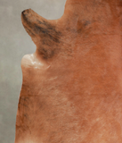 Medium Brindle Cowhide Rug #A25655