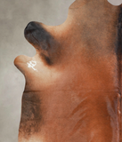 Brown with Red Cowhide Rug #A25668