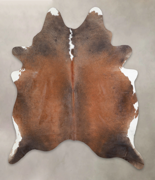 Brown with Red Cowhide Rug #A25679