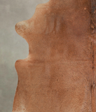Solid Brown Cowhide Rug #A25693