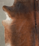 Brown with Red Cowhide Rug #A25696
