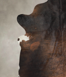Chocolate Cowhide Rug #A25699