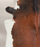 Brown with Red Cowhide Rug #A25742