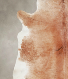Caramel Cowhide Rug #A25756
