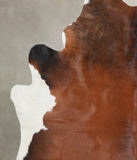 Brown with Red Cowhide Rug #A25757