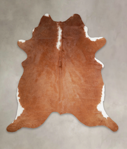 Brown and White Regular Cowhide Rug #A25769