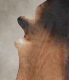 Brown with Red Cowhide Rug #A25777