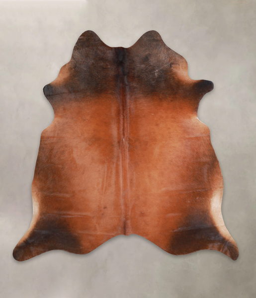 Brown with Red Cowhide Rug #A25787