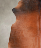 Brown with Red Cowhide Rug #A25787