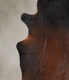 Brown with Red Cowhide Rug #A25795