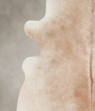Caramel Cowhide Rug #A25804