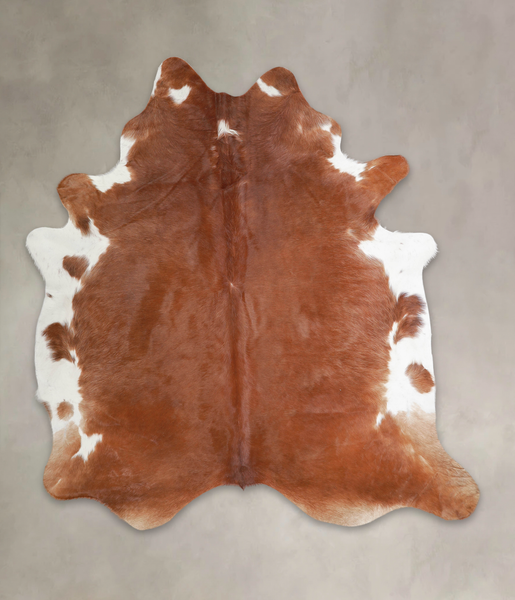 Brown and White Regular Cowhide Rug #A25830