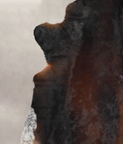 Chocolate Cowhide Rug #A25833