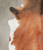 Brown with Red Cowhide Rug #A25835