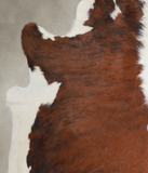 Tricolor Cowhide Rug #A25842
