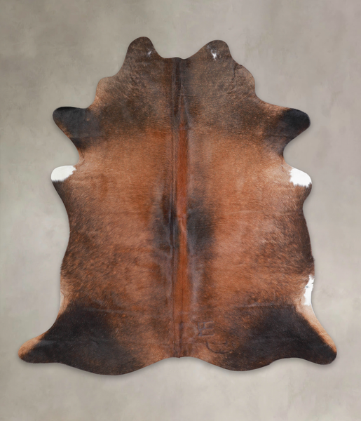 Brown with Red Cowhide Rug #A25848
