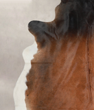 Brown with Red Cowhide Rug #A25856