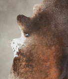 Brown with Red Cowhide Rug #A25869