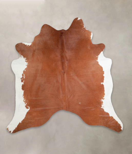 Brown and White Regular Cowhide Rug #A25883