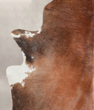 Brown with Red Cowhide Rug #A25897