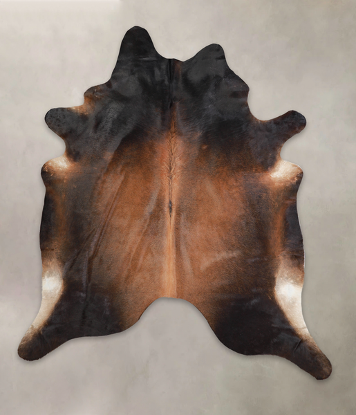 Brown with Red Cowhide Rug #A25921
