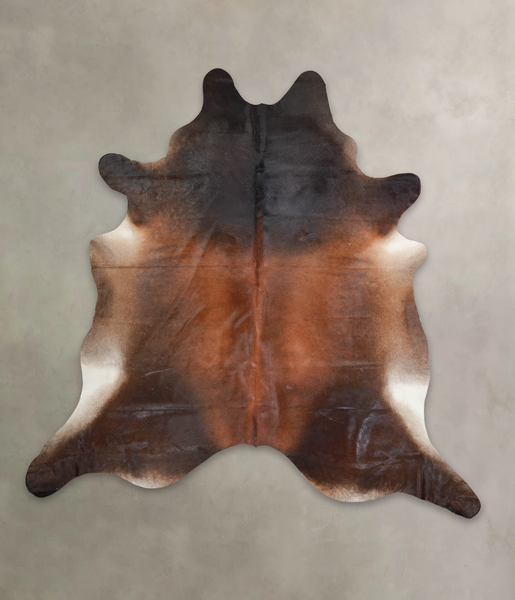 Brown with Red Cowhide Rug #A25926