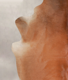 Solid Brown Cowhide Rug #A25931