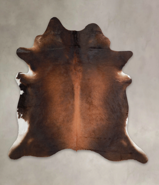 Brown with Red Cowhide Rug #A25945