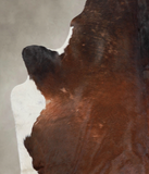 Brown with Red Cowhide Rug #A25957