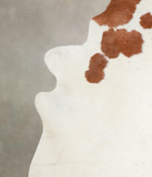 Brown and White Regular Cowhide Rug #A25959