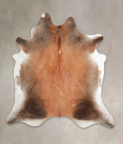 Brown with Red Cowhide Rug #A25972
