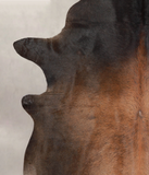 Brown with Red Cowhide Rug #A25973