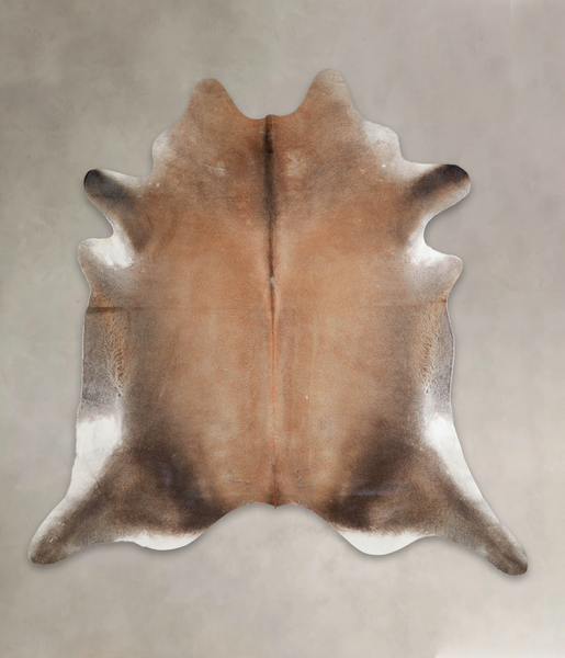 Brown with Red Cowhide Rug #A25975