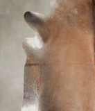 Brown with Red Cowhide Rug #A25975