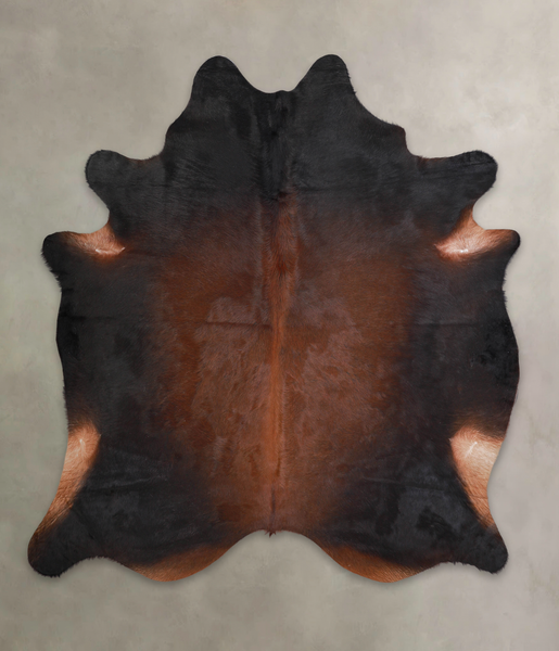 Brown with Red Cowhide Rug #A25978