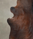 Chocolate Cowhide Rug #A25987